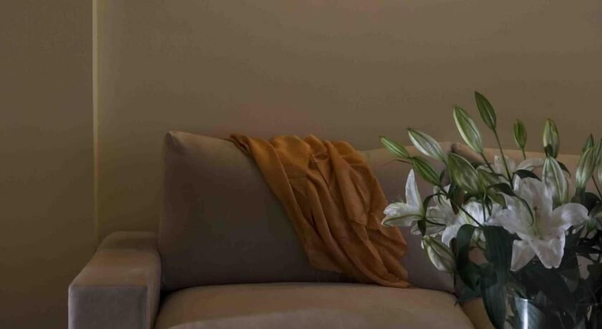 Valis Resort Hotel Volos Luaran gambar A throw draped over a sofa